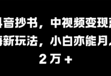 抖音抄书,中视频变现蓝海新玩法,小白亦能月入 过W-蜗牛学社