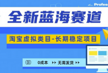 全新蓝海赛道，淘宝虚拟类目，长期稳定，可矩阵且放大-蜗牛学社