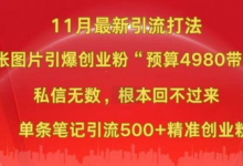 小红书11月最新图片打粉，一张图片引爆创业粉，“预算4980带我飞”，单条引流500+精准创业粉-蜗牛学社