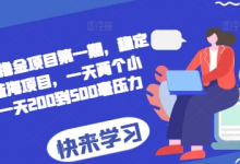 2024AI撸金项目第一期,稳定长久蓝海项目,一天两个小时,一天200到500毫压力-蜗牛学社