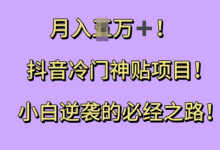 抖音冷门神贴项目,小白逆袭的必经之路,月入过W-蜗牛学社