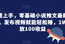 快速上手,零基础小说推文最新攻略,发布视频就能轻松赚,1W播放100收益-蜗牛学社