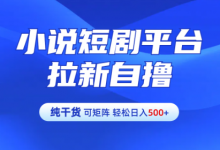 小说短剧平台拉新自撸玩法详解-单人轻松日入500+-蜗牛学社
