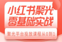 小红书聚光零基础实战，聚光平台投放课程从0到1-蜗牛学社