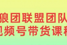 狼团联盟2024视频号带货,0基础小白快速入局视频号-蜗牛学社
