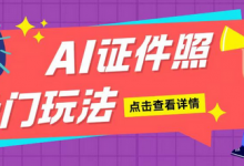 AI证件照玩法单日可入200+无脑操作适合新手小白-蜗牛学社