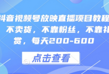 快手抖音视频号放映直播项目教程,不违规,不卖货,不靠粉丝,不靠礼物打赏,每天200-600-蜗牛学社