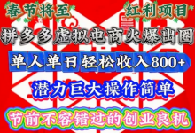 春节将至，拼多多虚拟电商火爆出圈，潜力巨大操作简单，单人单日轻松收入多张-蜗牛学社