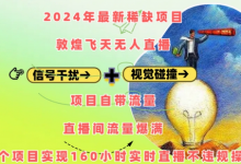 2024年最新稀缺项目敦煌飞天无人直播，项目自带流量，流量爆满，实现160小时实时直播不违规操-蜗牛学社