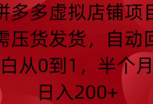 拼多多虚拟店铺项目,无需压货发货,自动回复,小白从0到1,半个月内日入200+-蜗牛学社