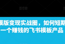 飞书模版变现实战圈，如何短期搭建一个赚钱的飞书模板产品-蜗牛学社