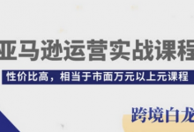 亚马逊运营实战课程，亚马逊从入门到精通，性价比高，相当于市面万元以上元课程-蜗牛学社