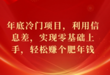 年底冷门项目，利用信息差，实现零基础上手，轻松赚个肥年钱-蜗牛学社