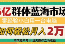 6亿群体蓝海市场，零经验小白用一台电脑，如何轻松月入过w-蜗牛学社