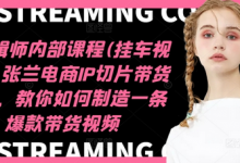 IP剪辑师内部课程(挂车视频)(更新12月),张兰电商IP切片带货培训,教你如何制造一条爆款带货视频-蜗牛学社