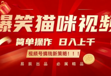 爆笑猫咪视频:简单操作,日入过K,视频号搞钱新策略-蜗牛学社