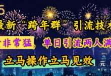 最新“跨年群”引流，流量非常猛，单日引流两人满人群，立马操作立马见效-蜗牛学社