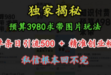 预算3980求带 图片玩法,单条日引流500+精准创业粉,私信根本回不完-蜗牛学社