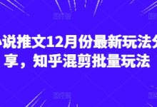 小说推文12月份最新玩法分享，知乎混剪批量玩法-蜗牛学社