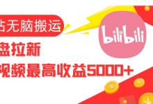视频无脑搬运b站网盘拉新,单视频最高收益5k+-蜗牛学社