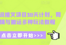 小说推文项目38天计划，剪辑与搬运多种玩法教程-蜗牛学社