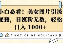 小白必看，美女图片引流秘籍，日涨粉无数，轻松日入几张-蜗牛学社
