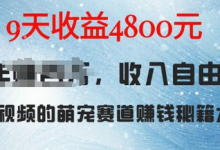 萌宠赛道赚钱秘籍：AI宠物兔视频详细拆解，9天收益4.8k-蜗牛学社