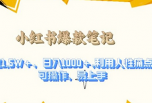 利用人性的痛点，打造爆款笔记，获得点赞超过1.5W+，日入1k-蜗牛学社