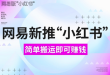 网易官方新推“小红书”，搬运即有收益，新手小白千万别错过(附详细教程)-蜗牛学社