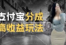 支付宝分成计划新玩法,利用交通事故视频,赚收益,轻松月入过W,操作简单-蜗牛学社