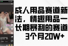 成人用品赛道新玩法，情趣用品一个长期暴利的赛道，3个月收益20个-蜗牛学社