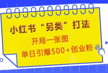 小红书“另类”打法，开局一张图，单日引爆500+精准创业粉-蜗牛学社