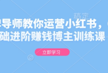 金牌导师教你运营小红书,0基础进阶赚钱博主训练课-蜗牛学社