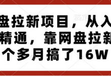 网盘拉新项目,从入门到精通,靠网盘拉新3个多月搞了16W-蜗牛学社