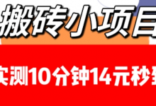 搬砖小项目,实测10分钟14元秒到,每天稳定几张(赠送必看稳定)-蜗牛学社