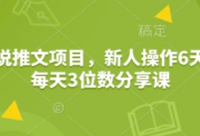 小说推文项目，新人操作6天，每天3位数分享课-蜗牛学社