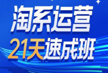 淘系运营21天速成班35期,年前最后一波和2025方向-蜗牛学社