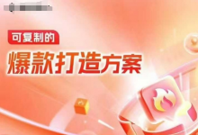 天猫电商爆款运营,可复制的爆款打造方案(线下内训课录音+字幕)-蜗牛学社