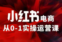 小红书电商运营,97节小红书vip内部课,带你实现小红书赚钱-蜗牛学社
