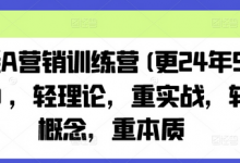 老A营销训练营(更25年1月)，轻理论，重实战，轻概念，重本质-蜗牛学社