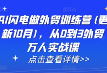 AI闪电做外贸训练营(更新25年1月),从0到3外贸万人实战课-蜗牛学社