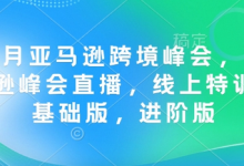 12月亚马逊跨境峰会， 亚马逊峰会直播，线上特训营基础版，进阶版-蜗牛学社