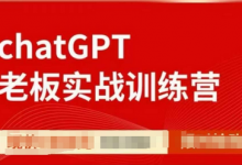 ChatGPT老板实战训练营,用GPT带飞,一人顶一个团队-蜗牛学社