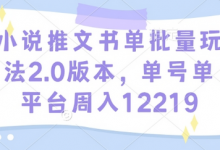 小说推文书单批量玩法2.0版本,单号单平台周入12219-蜗牛学社