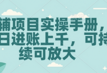 教辅项目实操手册，单日进账上千，可持续可放大-蜗牛学社