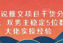 小说推文项目干货分享,双男主稳定5位数大佬实操经验-蜗牛学社