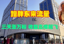 蹭胖东来流量,三天涨万粉,收益直接起飞-蜗牛学社