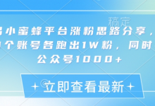 网易小蜜蜂平台涨粉思路分享，1晚上3个账号各跑出1W粉，同时引流公众号1000+-蜗牛学社