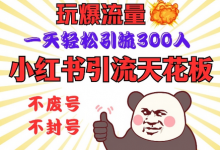 小红书引流天花板,玩爆流量,一天轻松引流300人,安全操作-蜗牛学社