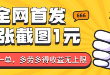 全网首发,一张截图1块钱,一分钟一单,多劳多得,收益无上限-蜗牛学社